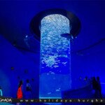 حجز واسعار جراند اكواريوم الغردقة رحلات الغردقة