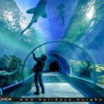 جراند اكواريوم الغردقة الحجز والاسعار