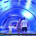 جراند اكواريوم الغردقة احجز الان مع موقع رحلات الغردقة