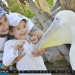 الكائنات البرية في جراند اكواريوم الغردقة