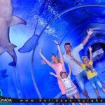 حجز واسعر رحلة جراند اكواريوم الغردقة