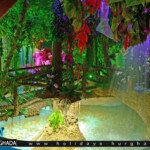 hurghad grand aquarium3