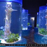 سعر جراند اكواريوم الغردقة