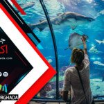 hurghada grand Aquarium