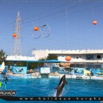 سعر وحجز دولفين شو الغردقة