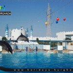 مكادى دولفين شو الغردقة