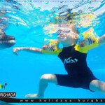 swimming with dolphin in dolphin show hurghada