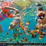 enjoy with snorkeling in orange bay