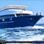 رحله جزيره اورانج باي