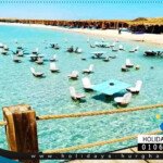 orange bay trip price