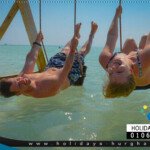 orange bay island funny day