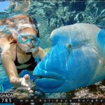 سنوركلنج جزيرة اورانج الغردقة