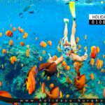 snorkling trip hurghada