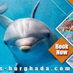 رحلة الدولفين هاوس الغردقة dolphin house hurghada