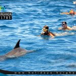 رحلة دولفين هاوس الغردقة