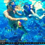 سنوركلنج رحلة