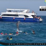 الرحلة البحرية فى الغردقة