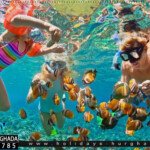 رحلات الاسنوركلنج