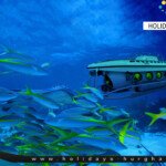 سندباد غواصة الغردقة