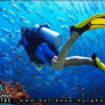 رحلة غطس الغردقة