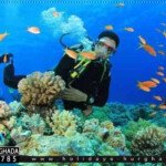 سعر رحلات غطس الغردقة