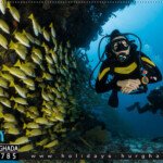 حجز رحلة غوص الغردقة