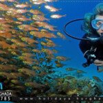 حجز رحلة غطس الغردقة