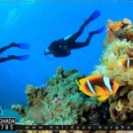 diving hurghada