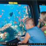 سعر حجز غواصة الغردقة 3 ساعات